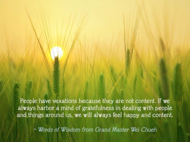 Words of Wisdom from Grand Master Wei Chueh 01