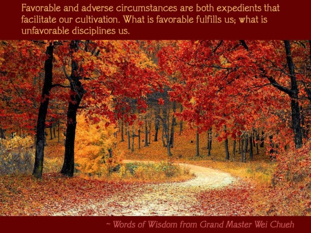 Words of Wisdom from Grand Master Wei Chueh 02