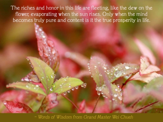 Words of Wisdom from Grand Master Wei Chueh 04