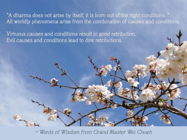 Words of Wisdom from Grand Master Wei Chueh 05