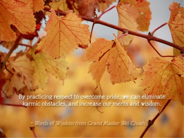 Words of Wisdom from Grand Master Wei Chueh 07