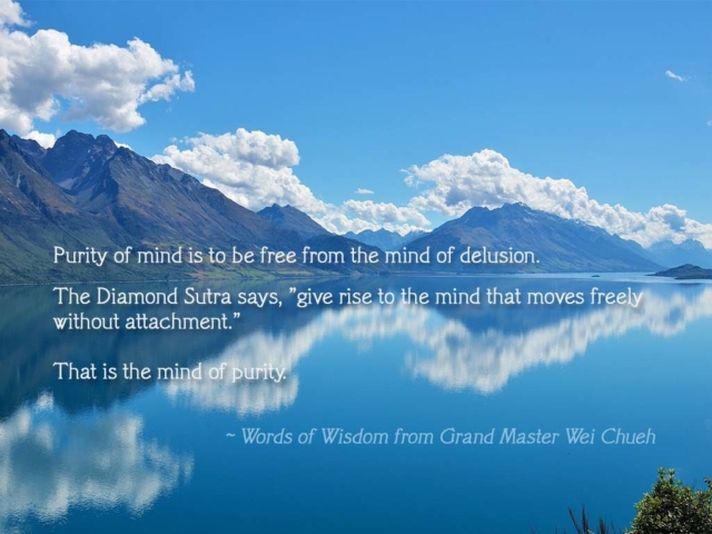 Words of Wisdom from Grand Master Wei Chueh 08