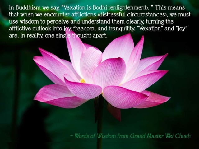 Words of Wisdom from Grand Master Wei Chueh 10