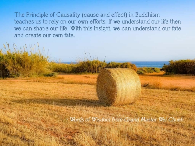 Words of Wisdom from Grand Master Wei Chueh 13