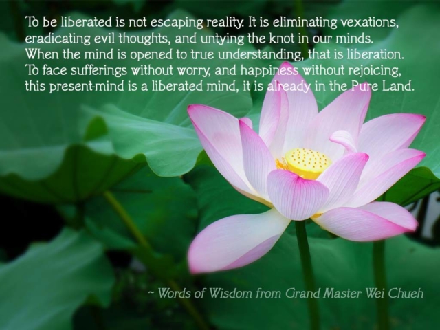 Words of Wisdom from Grand Master Wei Chueh 14