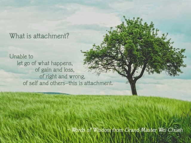 Words of Wisdom from Grand Master Wei Chueh 16