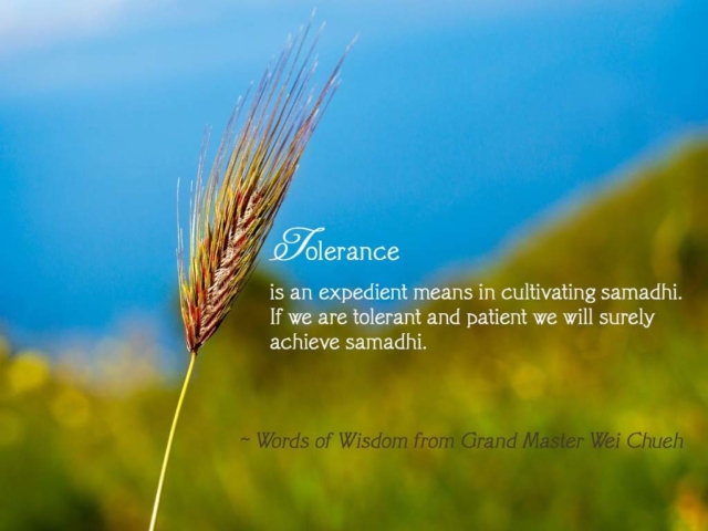 Words of Wisdom from Grand Master Wei Chueh 17