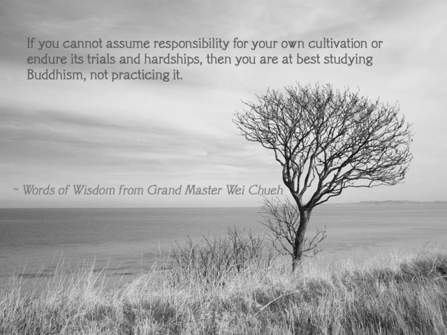 Words of Wisdom from Grand Master Wei Chueh 19