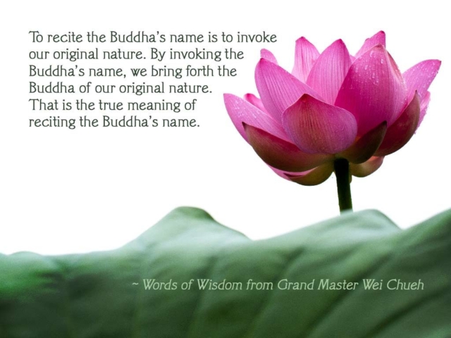 Words of Wisdom from Grand Master Wei Chueh 22