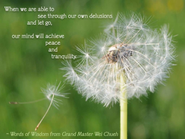 Words of Wisdom from Grand Master Wei Chueh 27