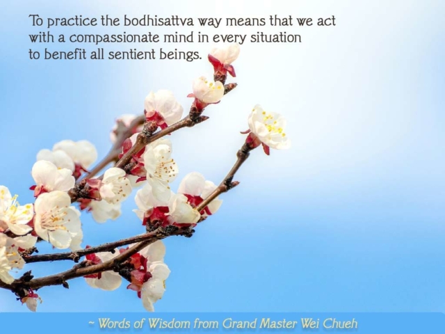 Words of Wisdom from Grand Master Wei Chueh 29