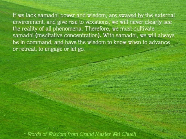 Words of Wisdom from Grand Master Wei Chueh 30