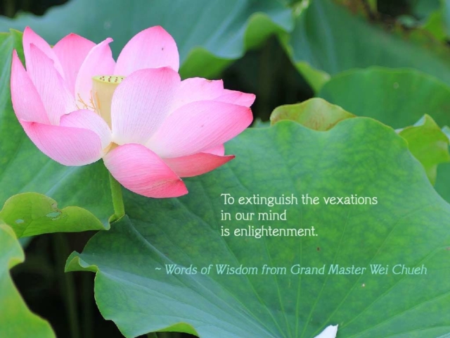 Words of Wisdom from Grand Master Wei Chueh 35
