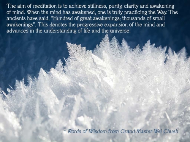 Words of Wisdom from Grand Master Wei Chueh 37