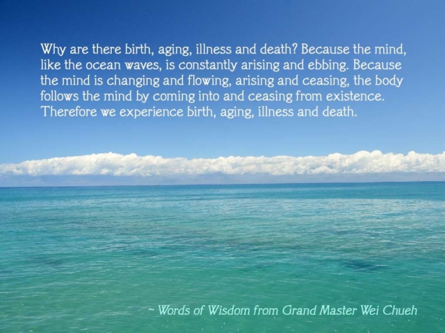 Words of Wisdom from Grand Master Wei Chueh 38