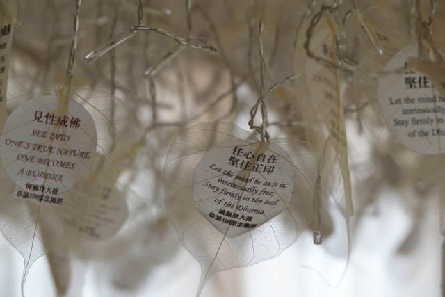 2019 觀音法會 Bodhisattva Avalokitesvara Ceremony